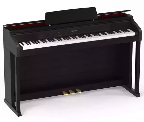 S00064 Casio Celviano AP-460