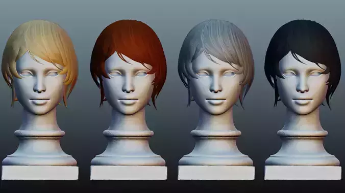 Female hair 4 colors