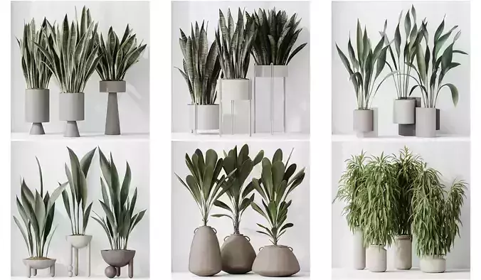 6 Different SETS of Plant Indoor SET VOL125 3D Model Collection
