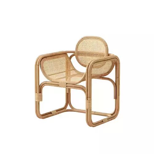 Jan bocan chair by Jan Bocan