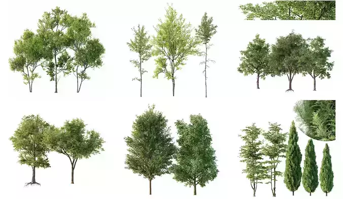 6 Different SETS of Tree SET VOL126 3D Model Collection