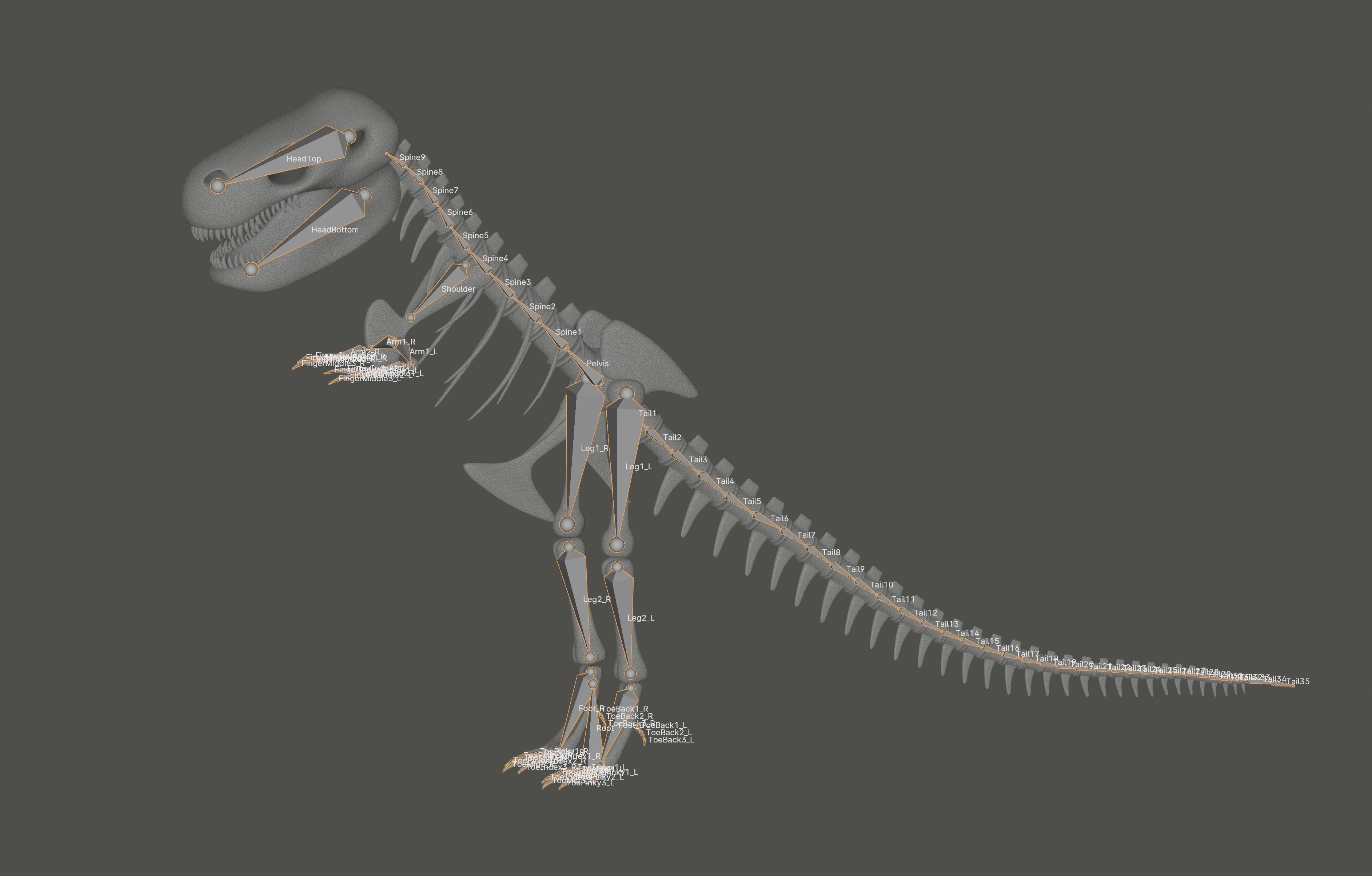 Tyrannosaurus Rex Fossil 3D model_15
