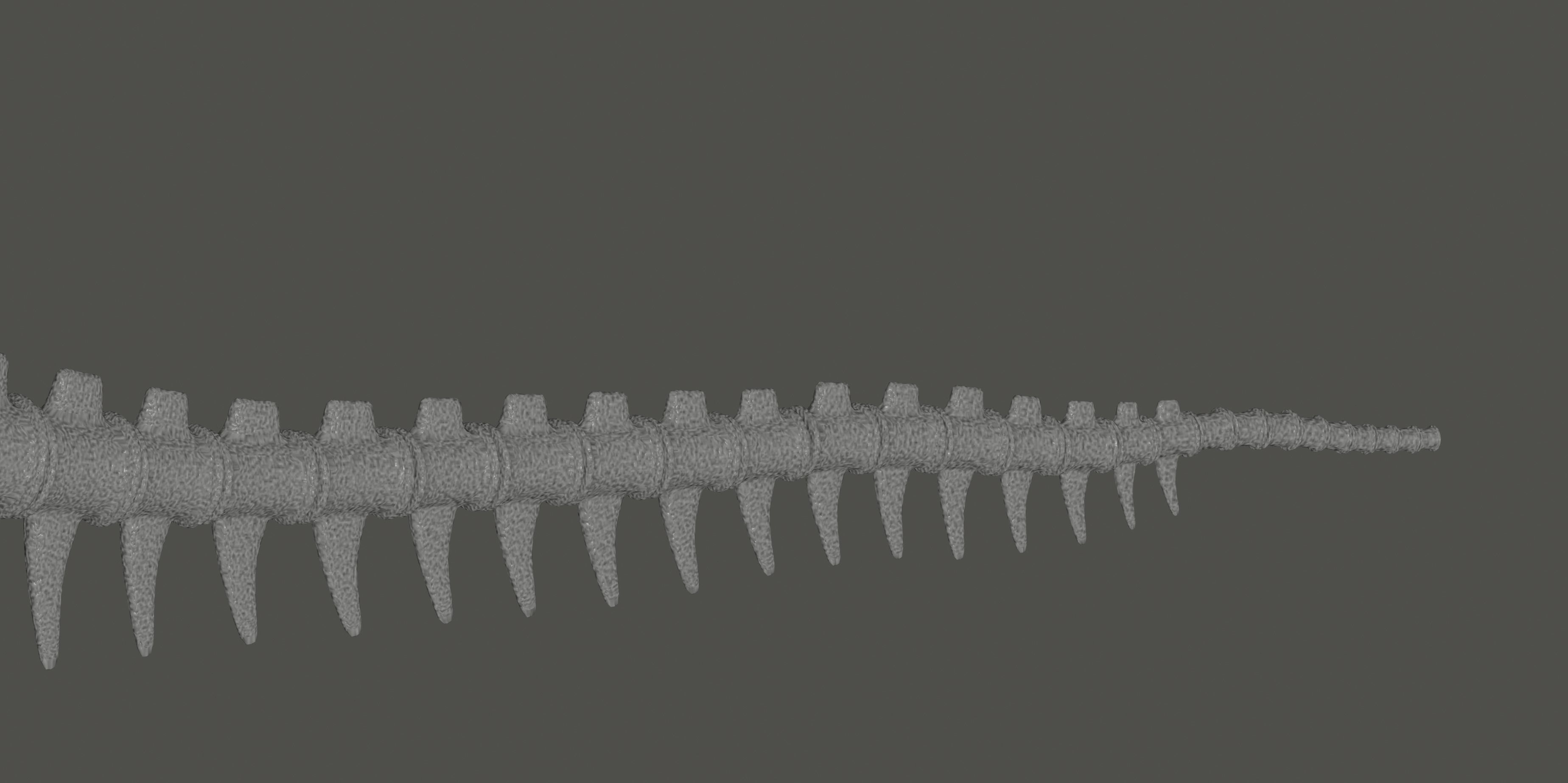 Tyrannosaurus Rex Fossil 3D model_14
