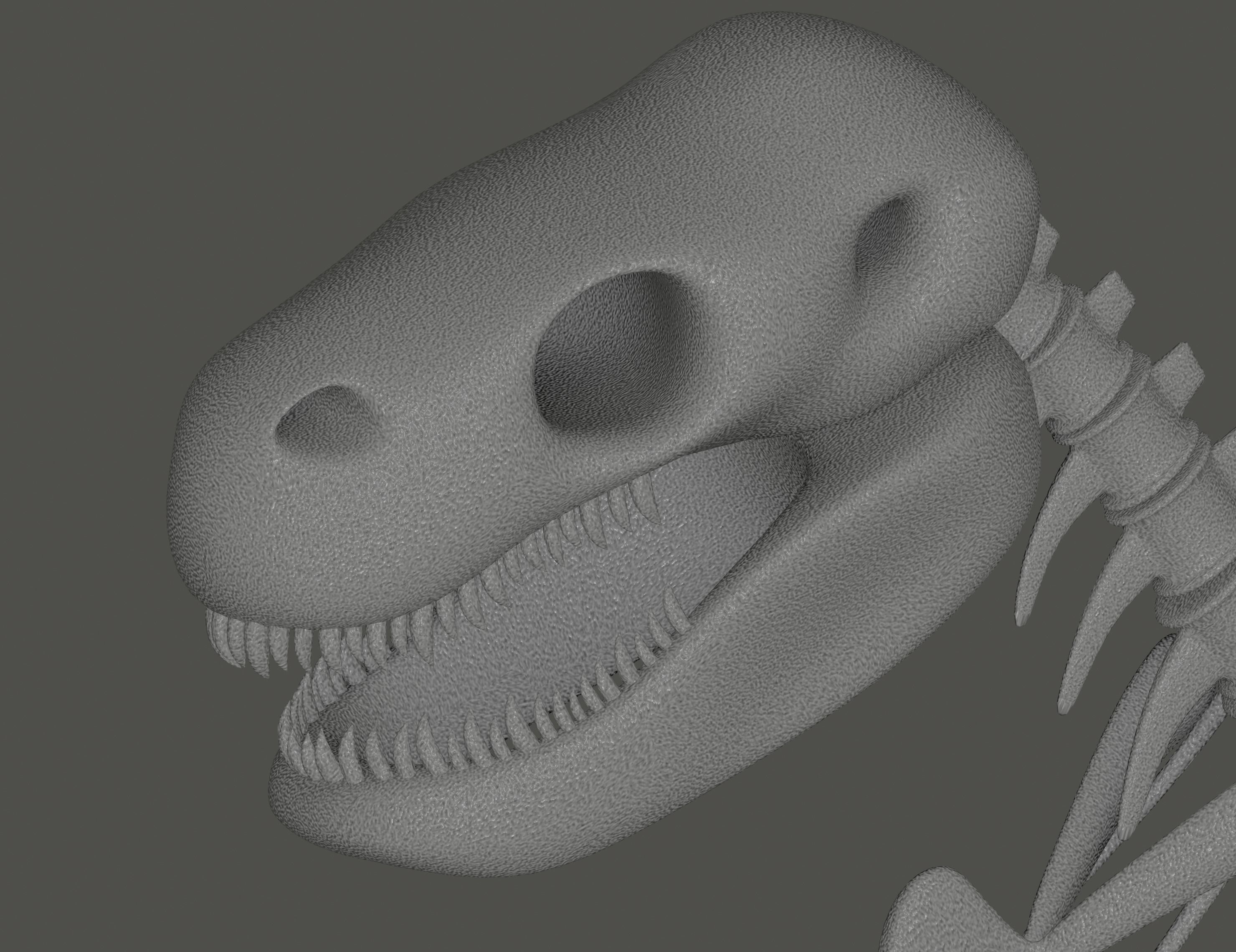 Tyrannosaurus Rex Fossil 3D model_10