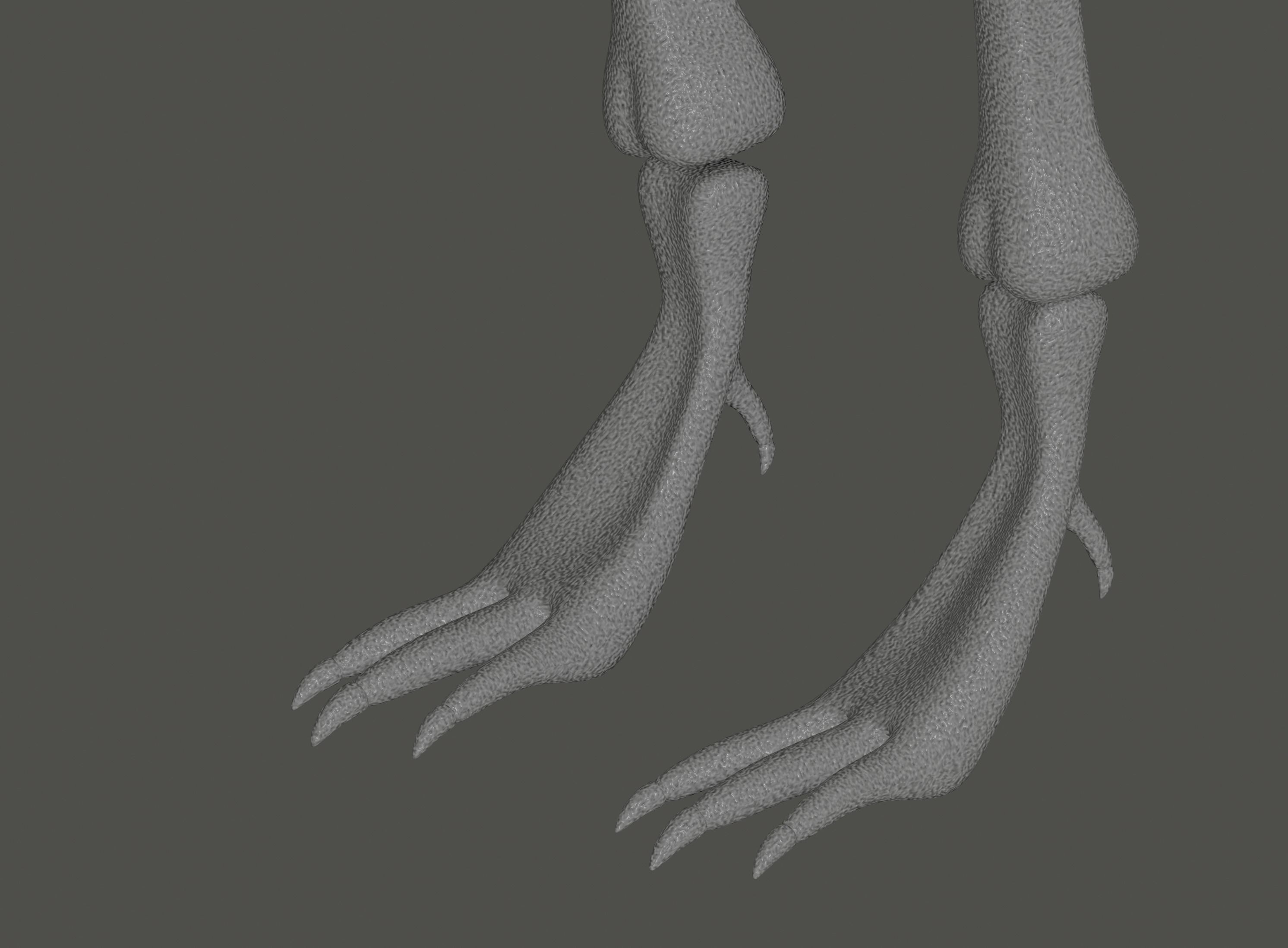 Tyrannosaurus Rex Fossil 3D model_13