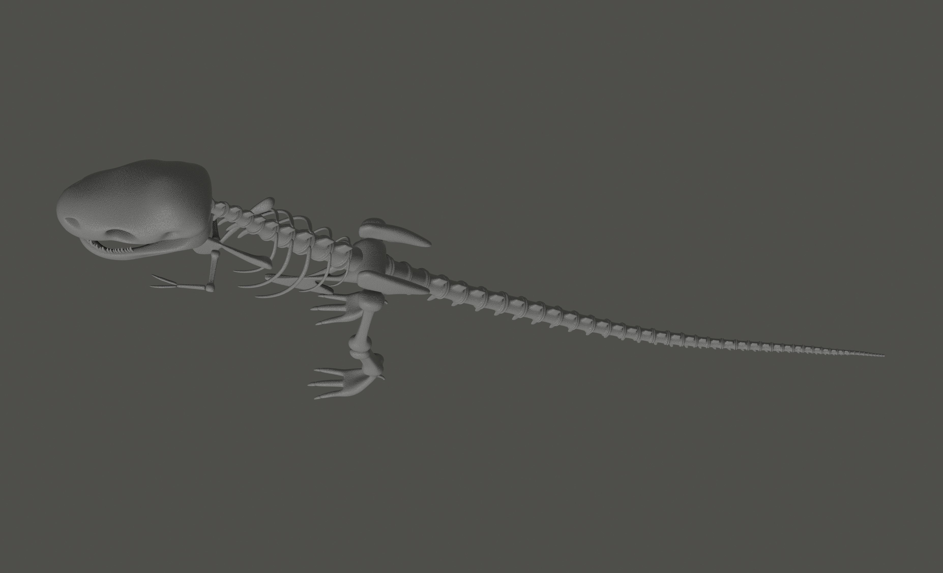 Tyrannosaurus Rex Fossil 3D model_6