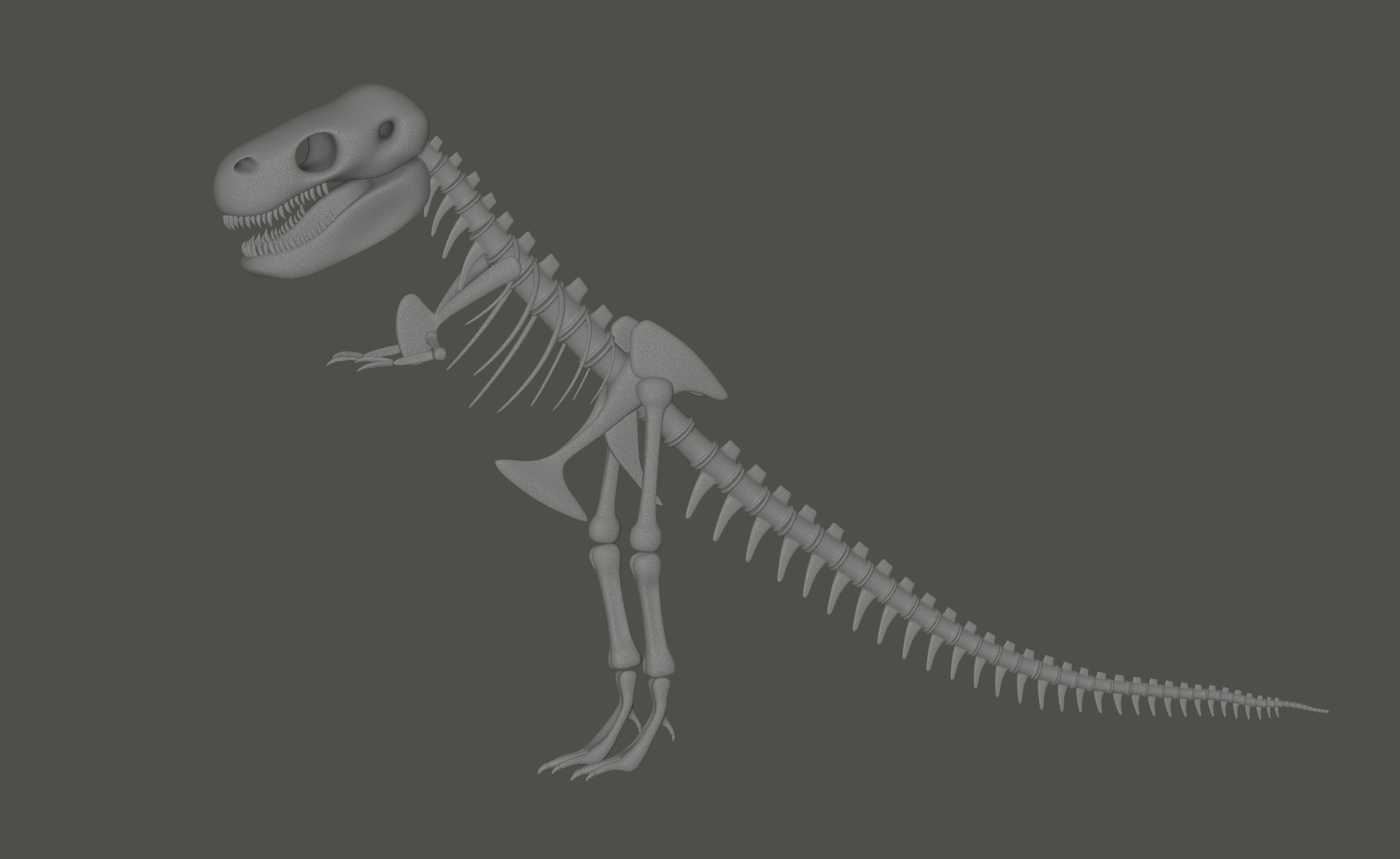 Tyrannosaurus Rex Fossil 3D model_1