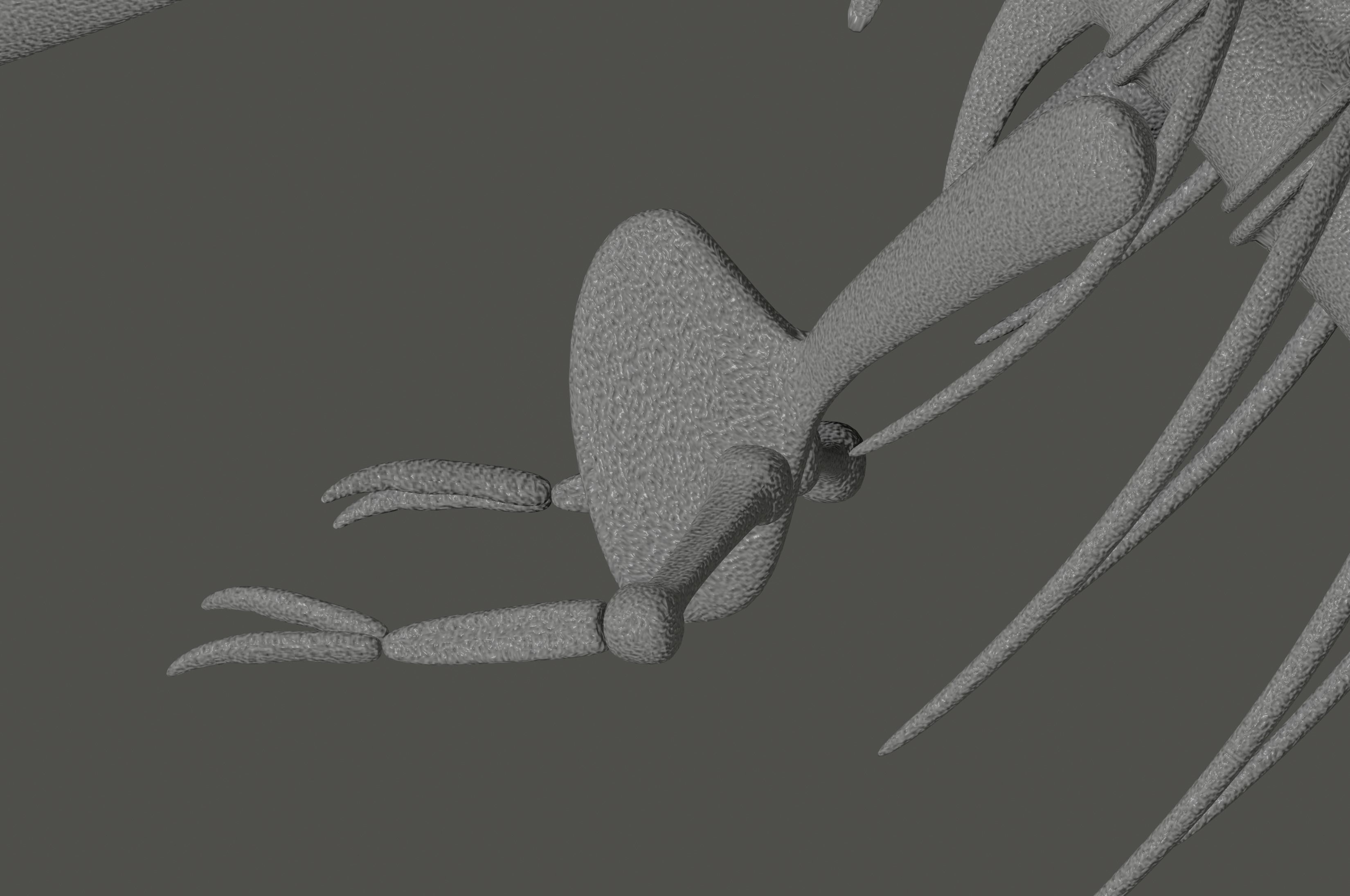 Tyrannosaurus Rex Fossil 3D model_11