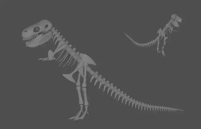 Tyrannosaurus Rex Fossil