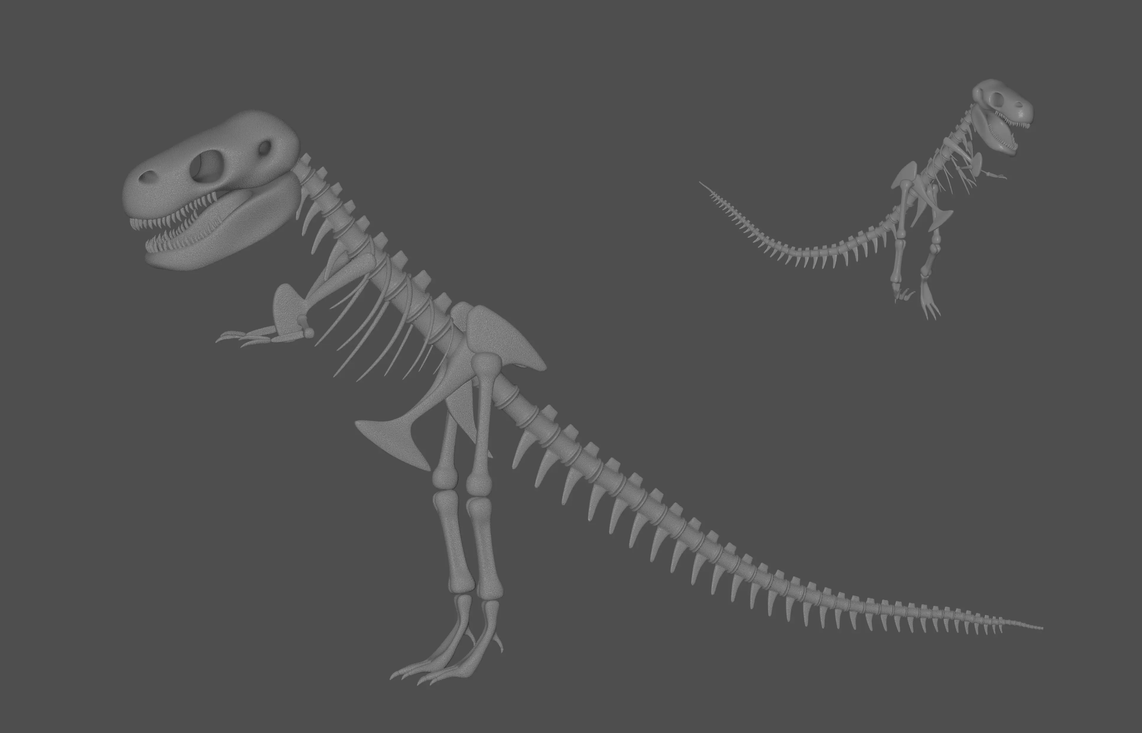 Tyrannosaurus Rex Fossil 3D model_0