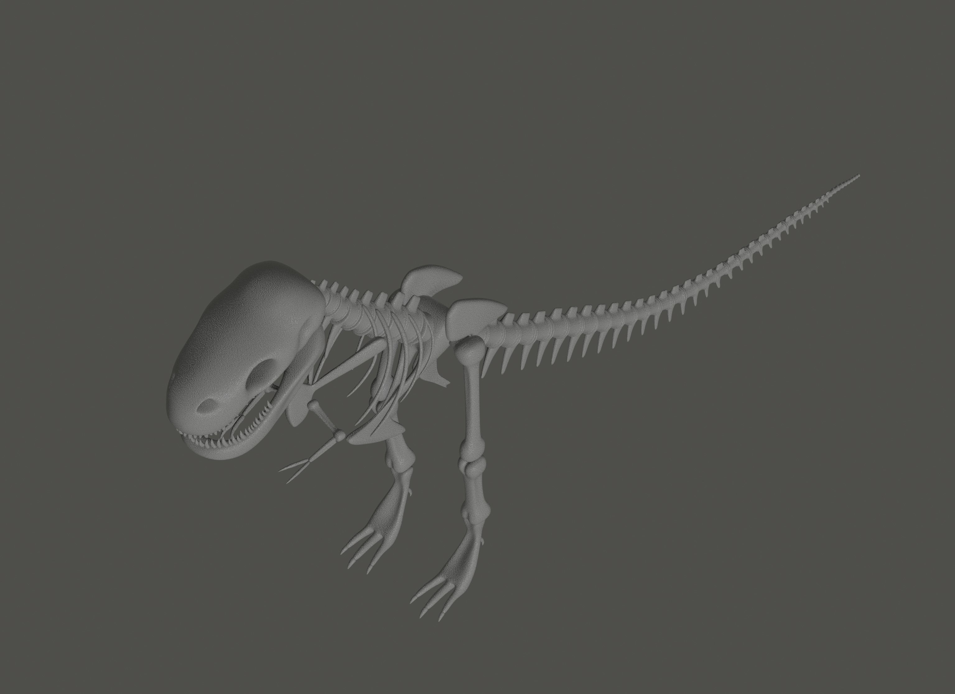 Tyrannosaurus Rex Fossil 3D model_7