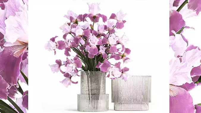 Solemn bouquet of purple Iris flowers in a glass vase 379