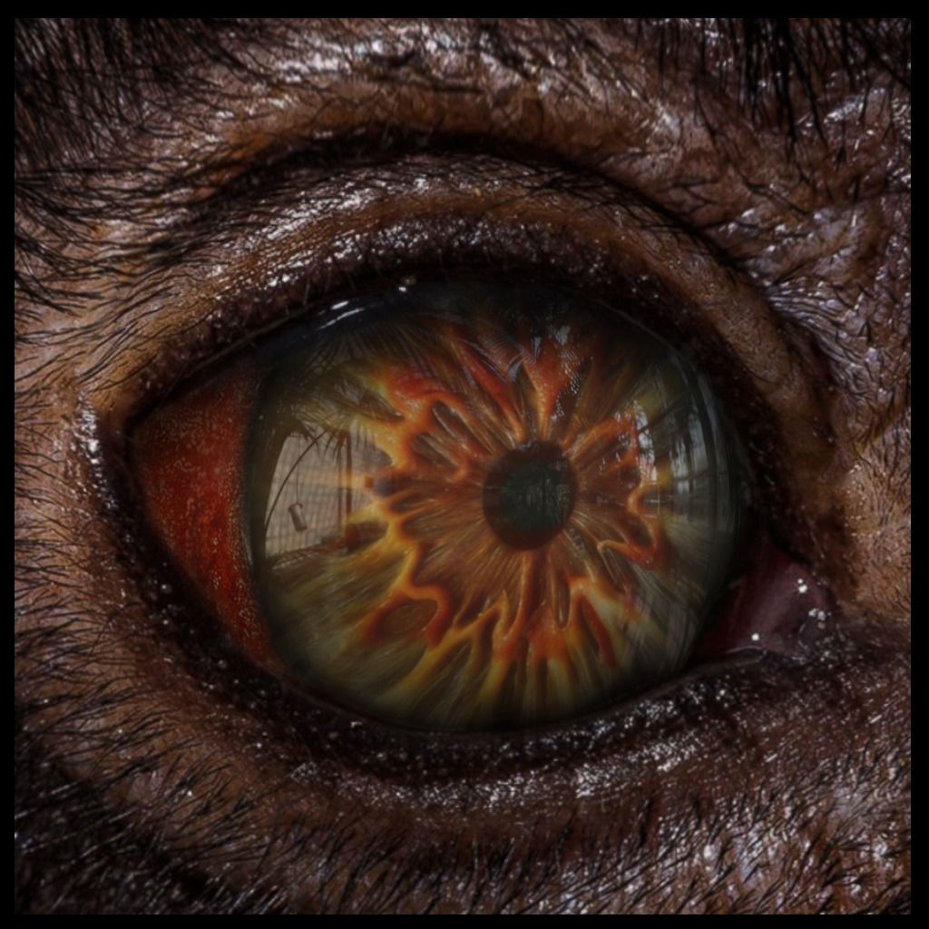 Beast Fantasy Eyes Vol 01 - PBR Low-poly 3D model_8