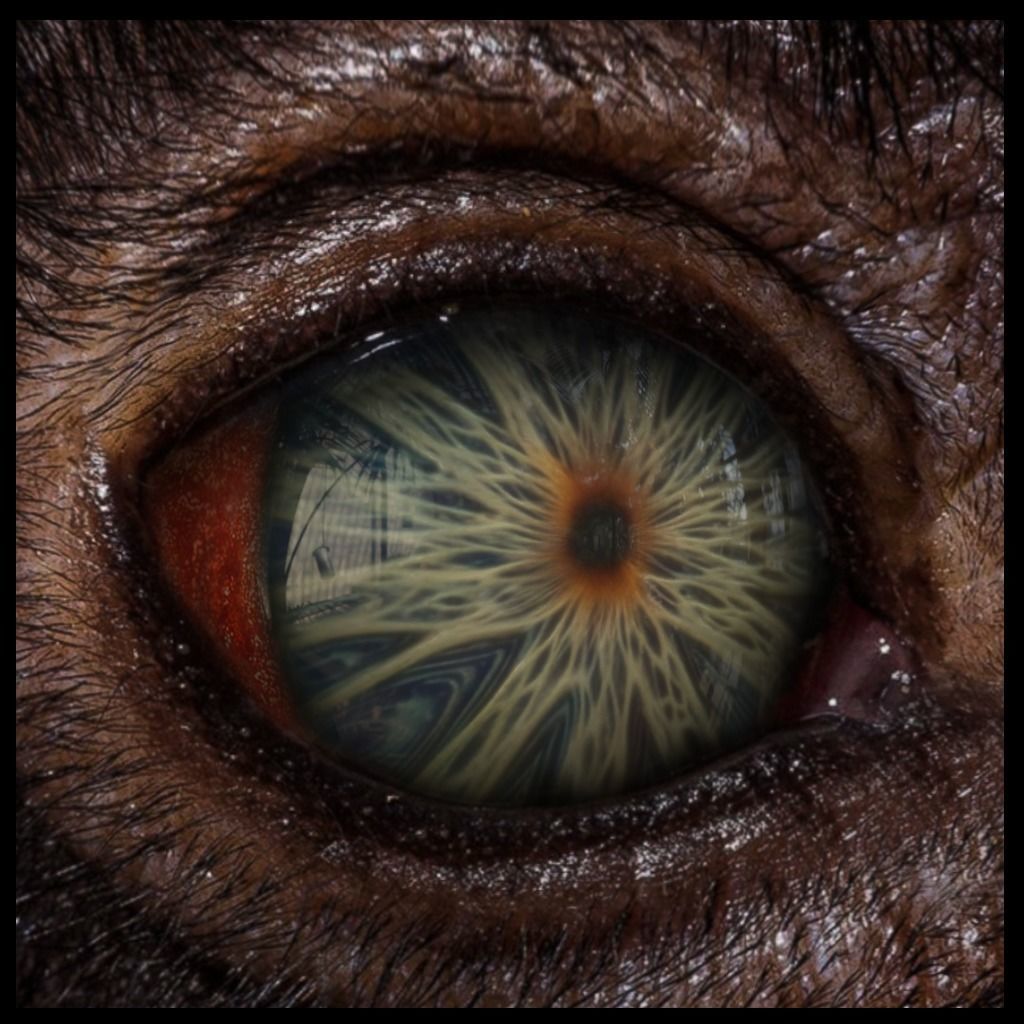 Beast Fantasy Eyes Vol 01 - PBR Low-poly 3D model_5