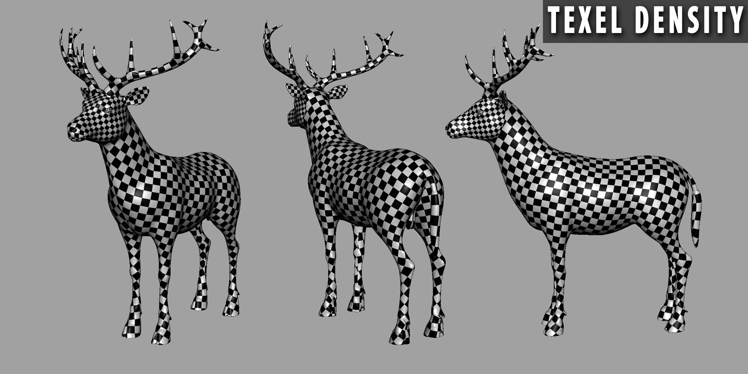 Deer Basemesh Low-poly 3D model_5