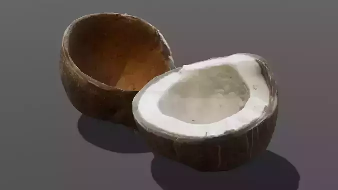Coconut 3D Model 