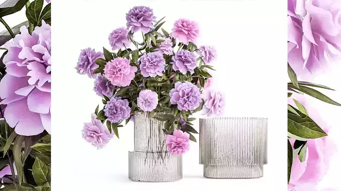 Beautiful bouquet of purple Paeonia peony flowers 380