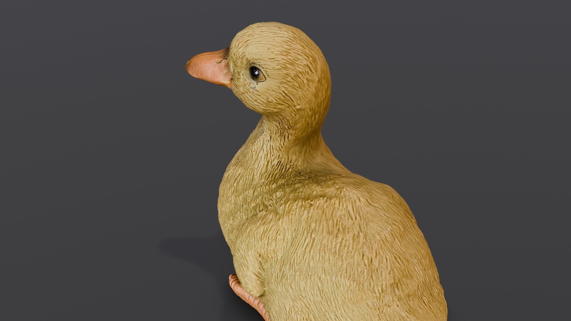 Cartoon Duck 3D Model  Low-poly 3D model_13