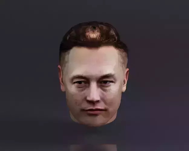 S00066 Elon Musk head