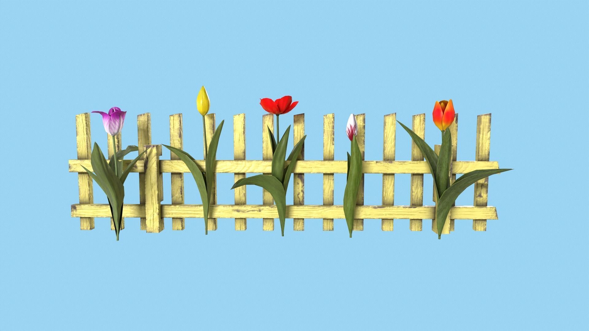 Tulips With Flower Fence Low-poly 3D model_6