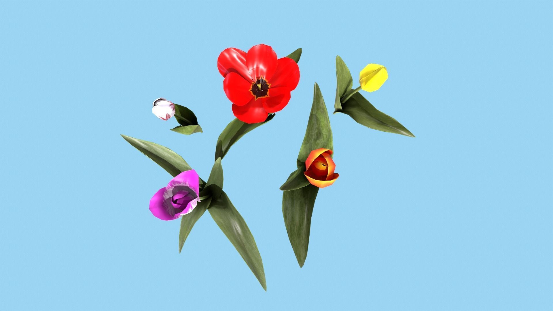 Tulips With Flower Fence Low-poly 3D model_2