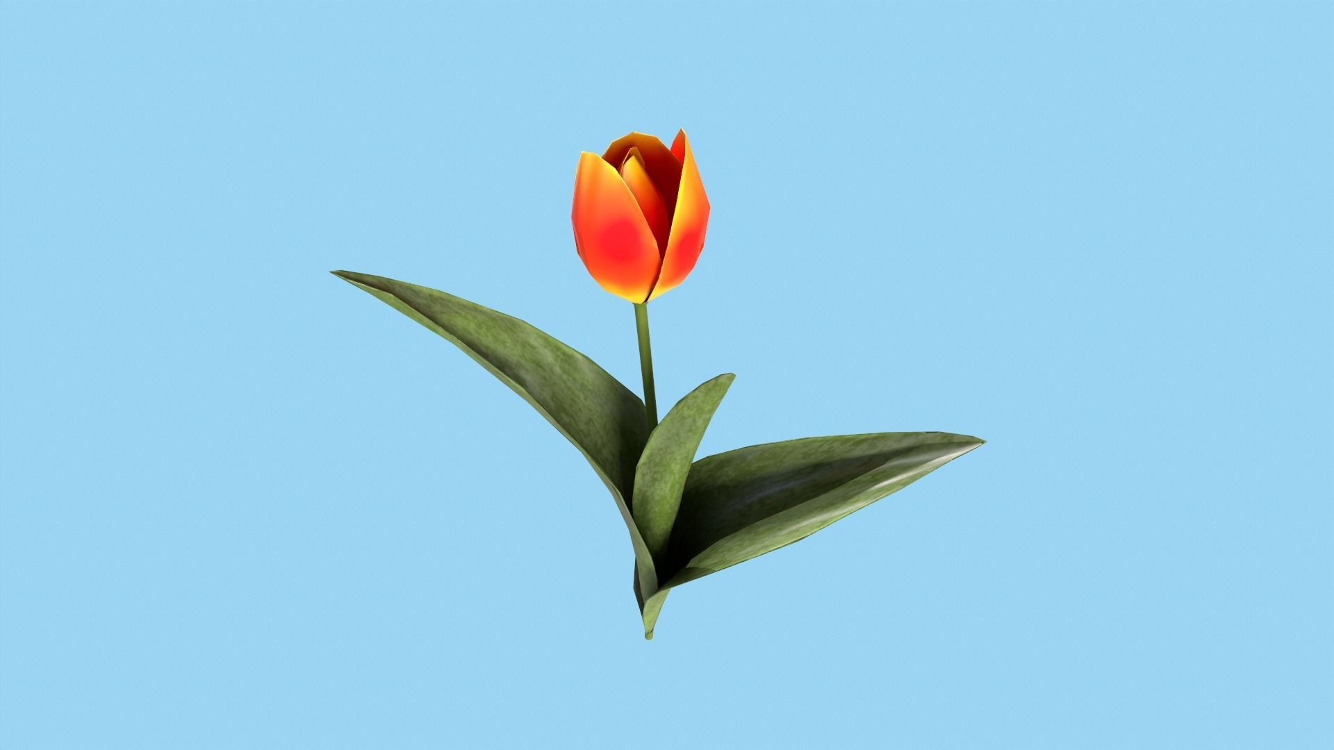 Tulips With Flower Fence Low-poly 3D model_7