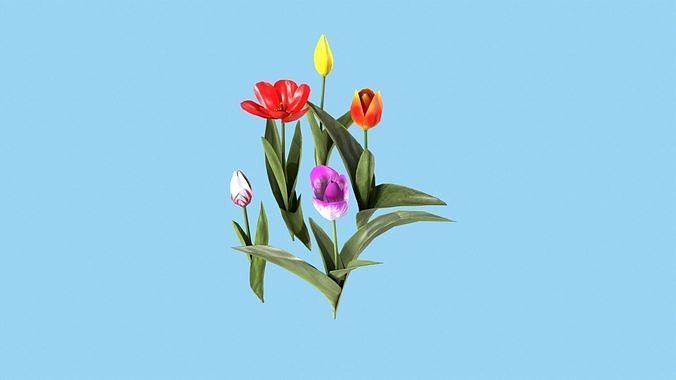 Tulips With Flower Fence Low-poly 3D model