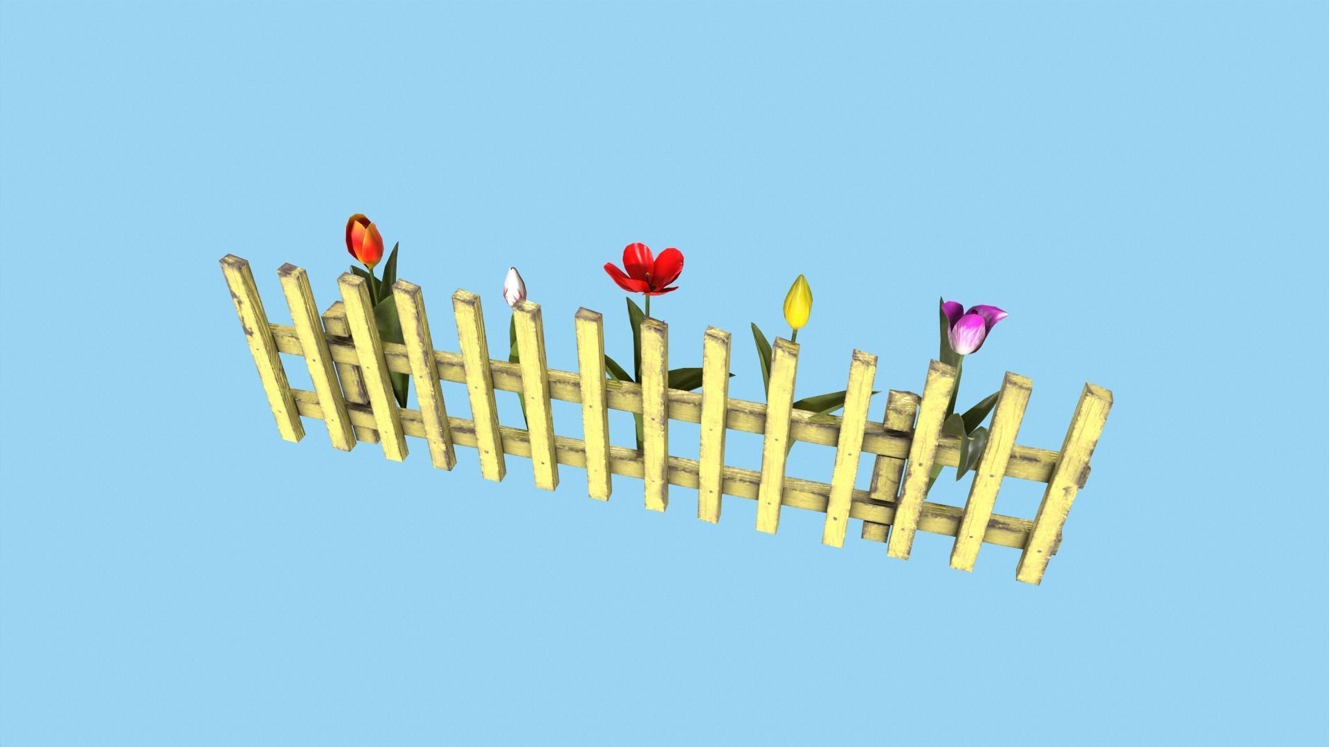 Tulips With Flower Fence Low-poly 3D model_4