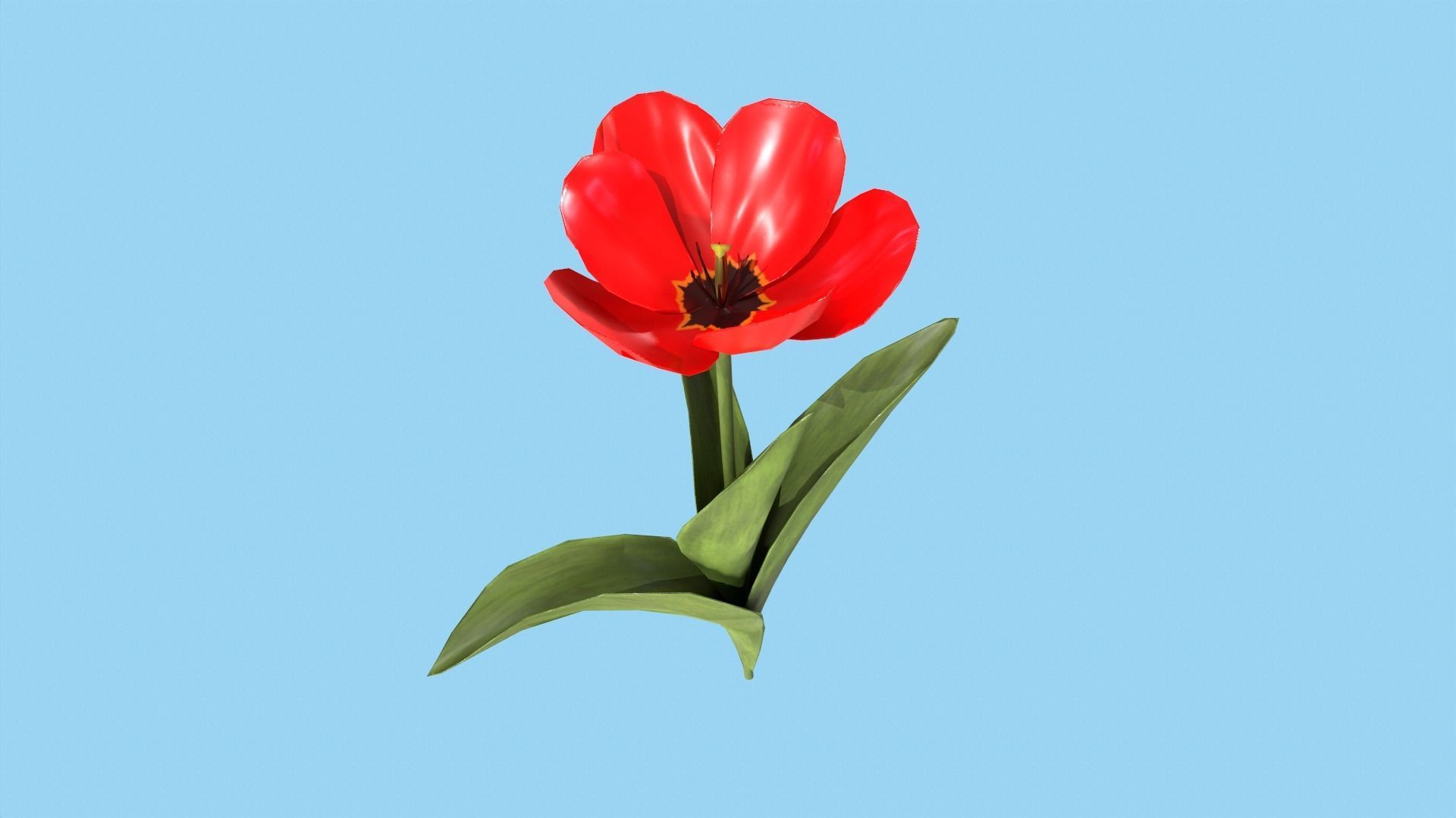 Tulips With Flower Fence Low-poly 3D model_9