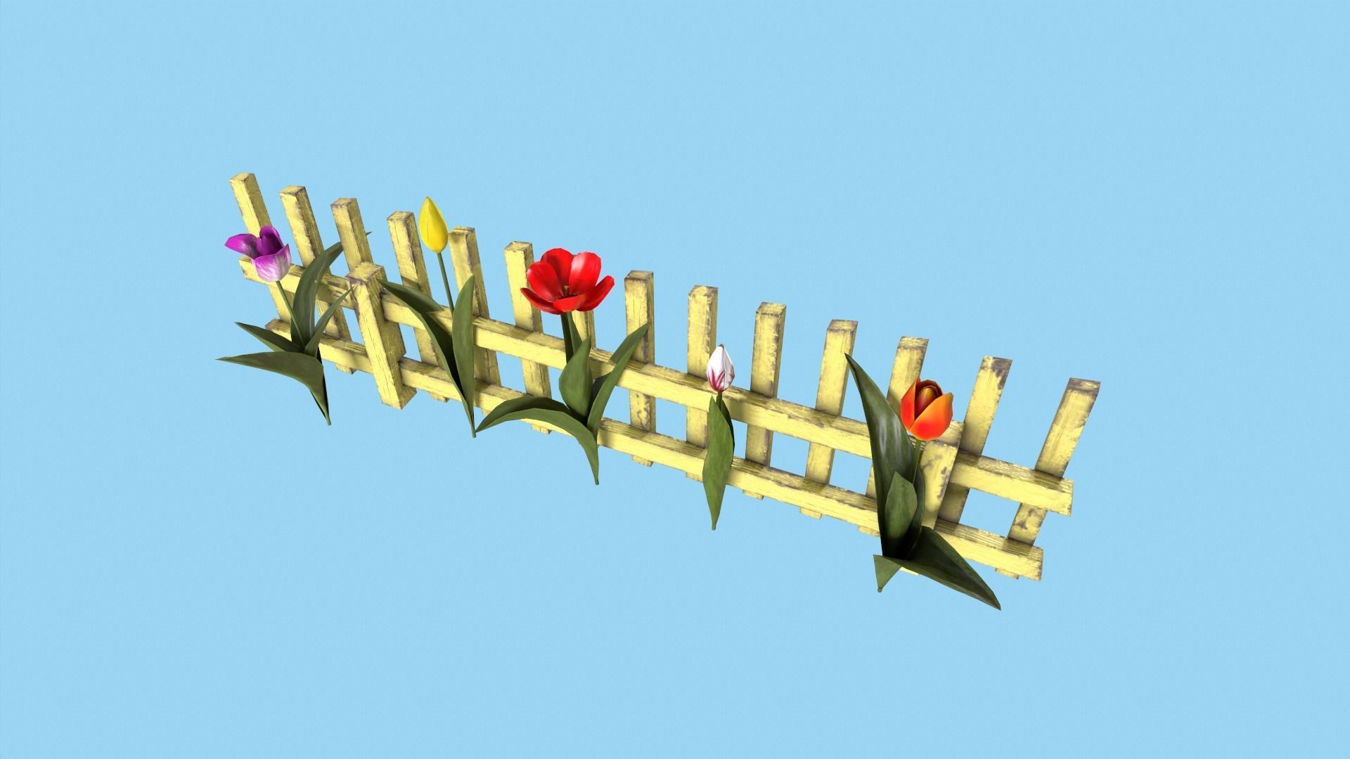 Tulips With Flower Fence Low-poly 3D model_5