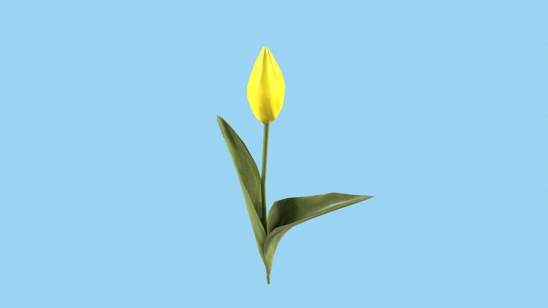 Tulips With Flower Fence Low-poly 3D model_10