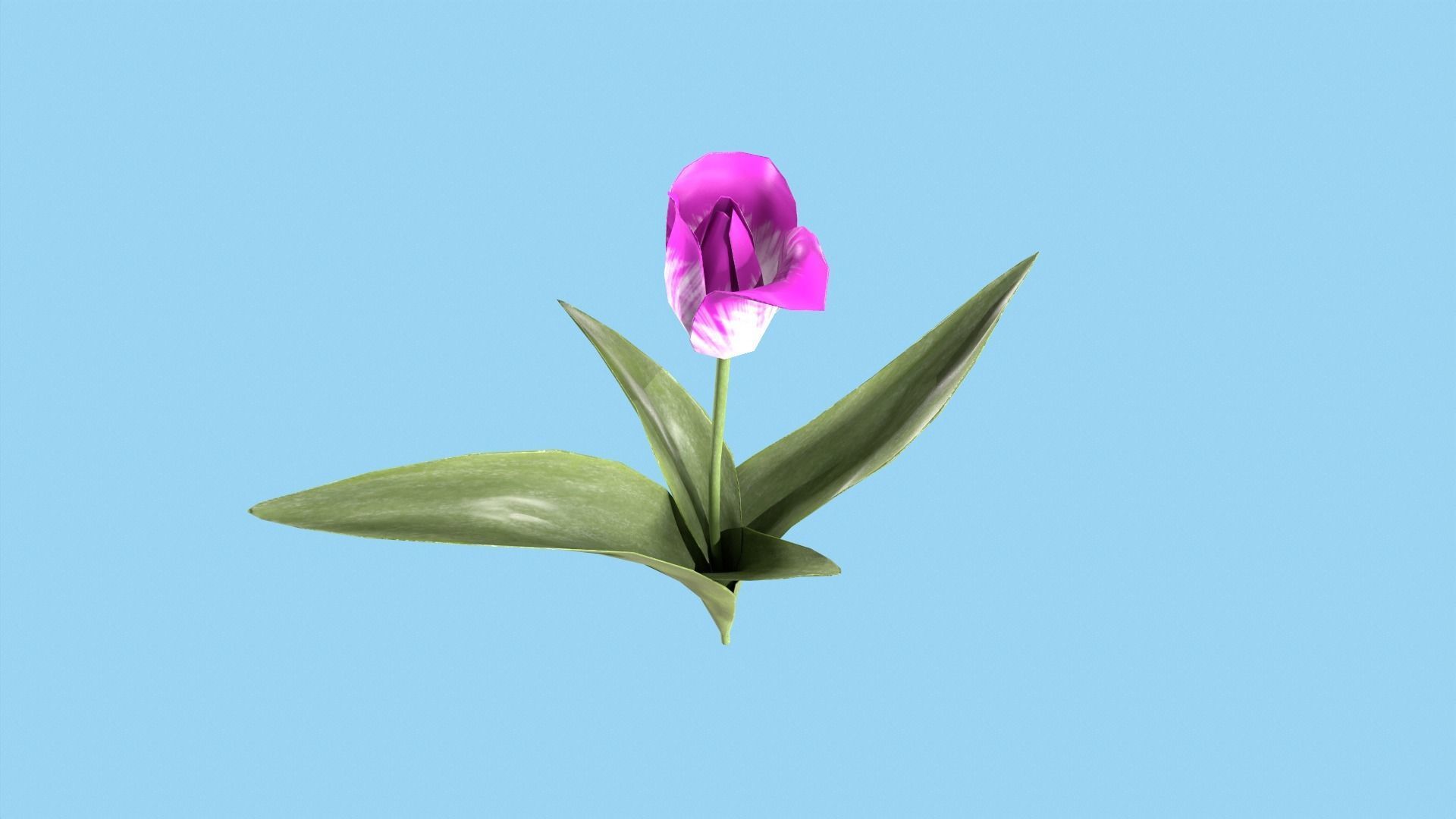 Tulips With Flower Fence Low-poly 3D model_8