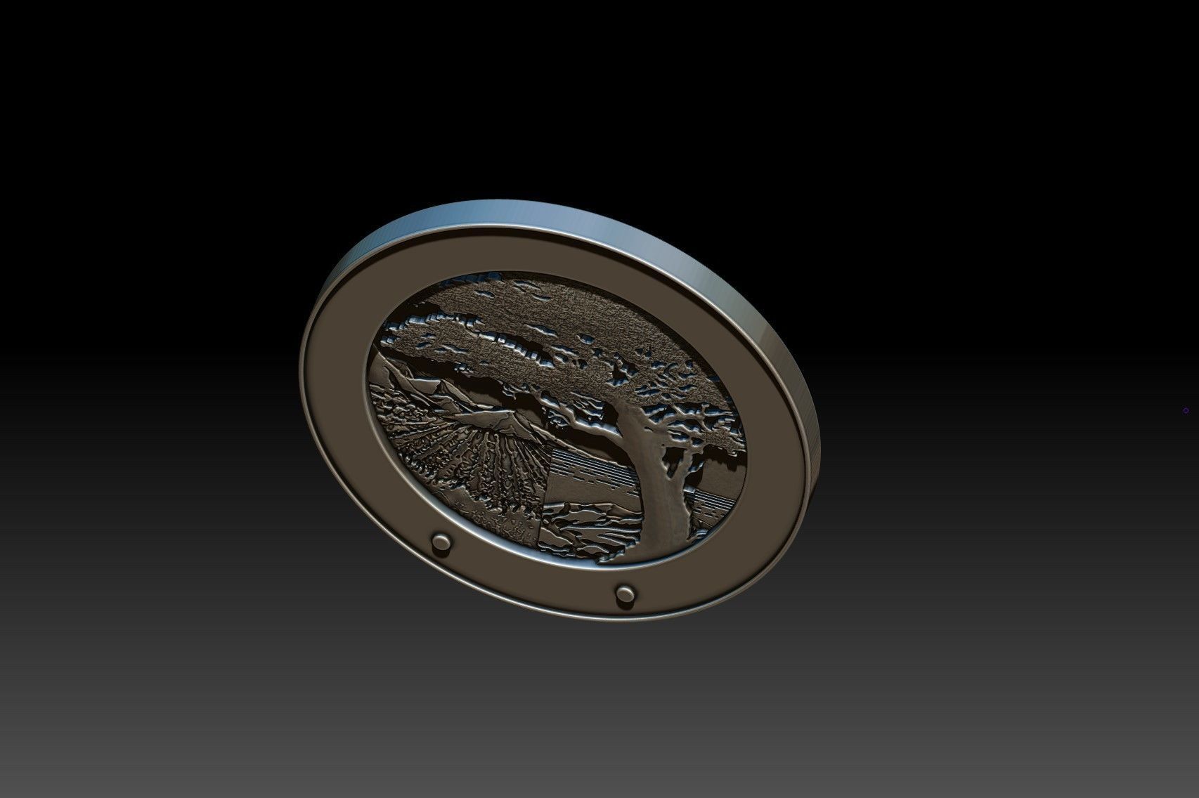 Monterey Seal 3D print model_6