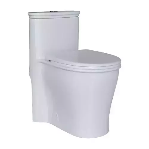 Saso Siphonic Vortex toilet