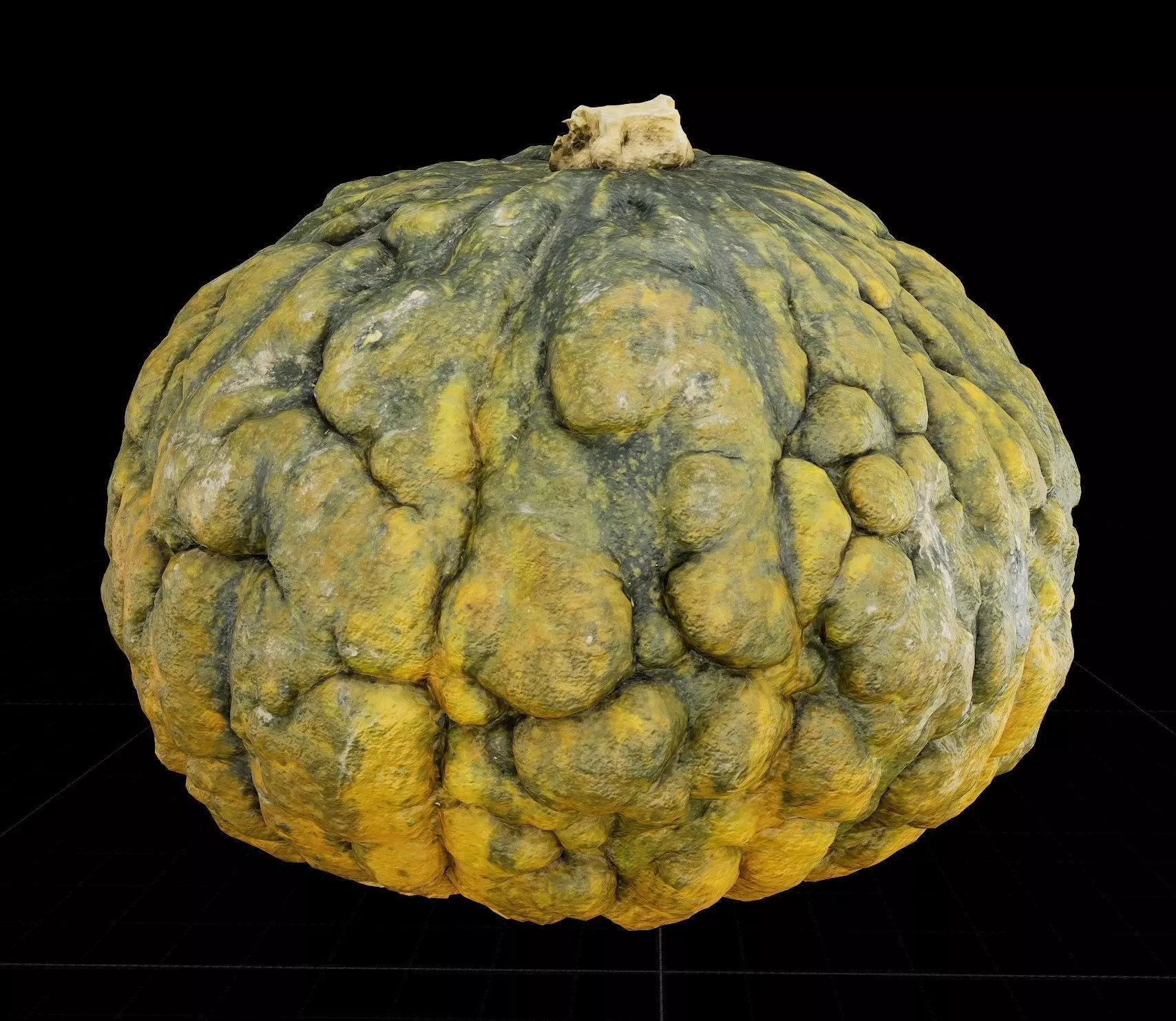 shiatsu-squash 3D model