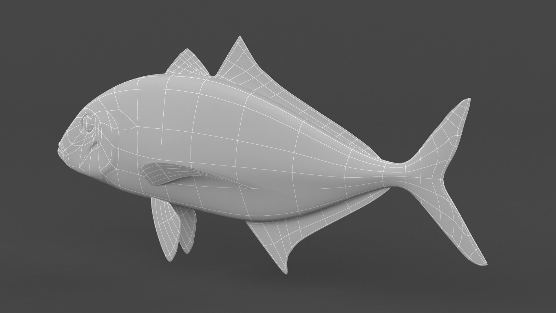 Trevally Fish 3D model_9