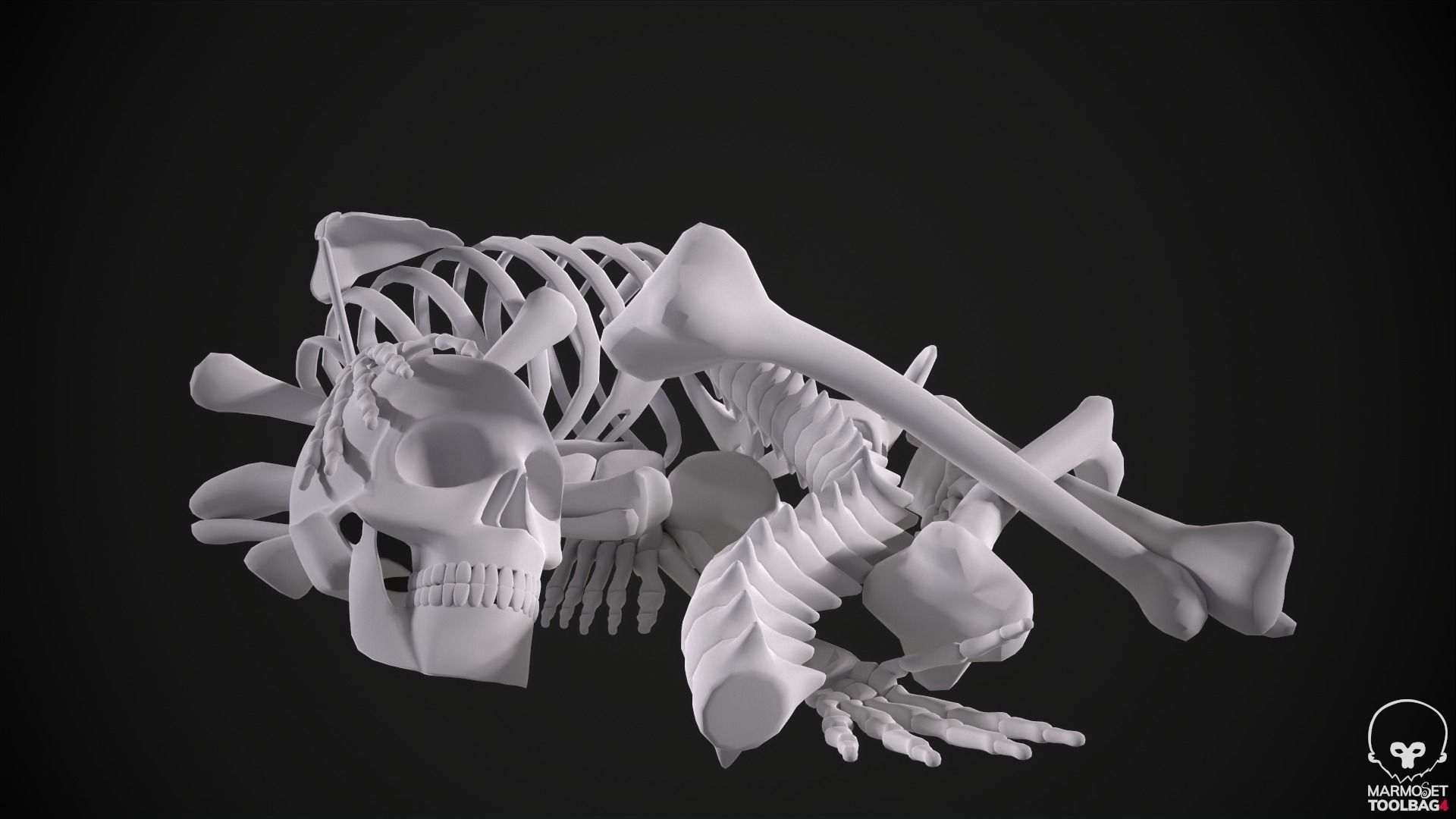 Broken Human Skeleton Low-poly 3D model_4