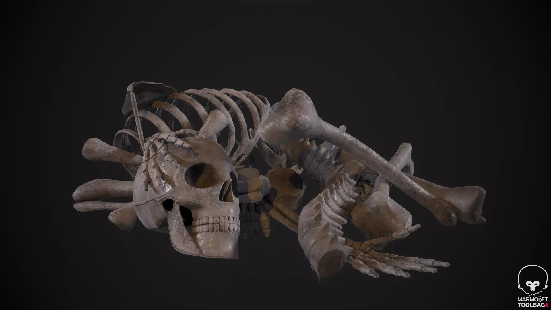 Broken Human Skeleton Low-poly 3D model_0