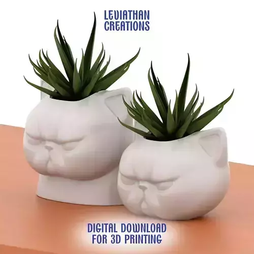 Cute Grumpy Flat Faced Plant Pot