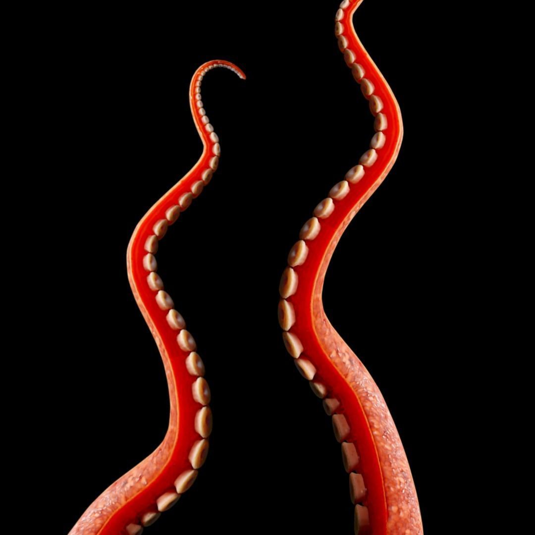 Tentacle Animation System Low-poly 3D model_4