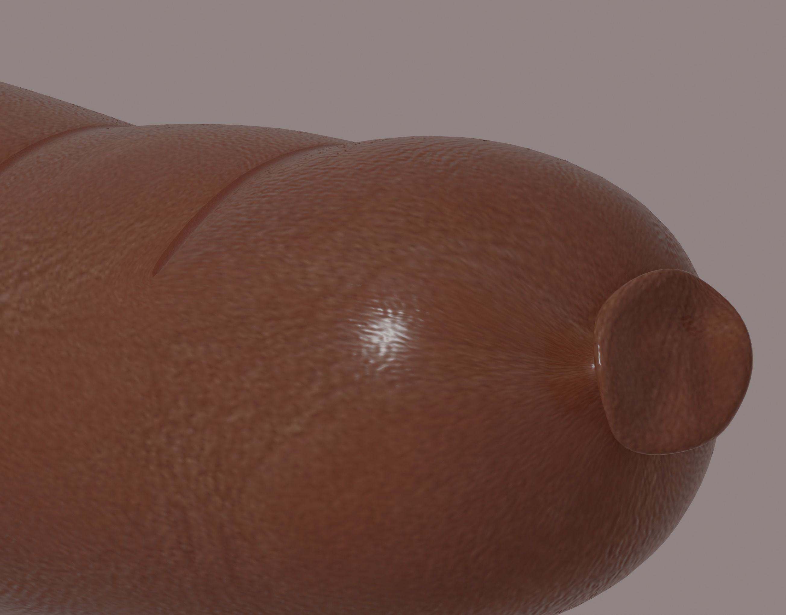 Sausage 3D model_11