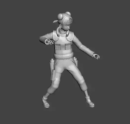 Tenten Jonin 3D Model