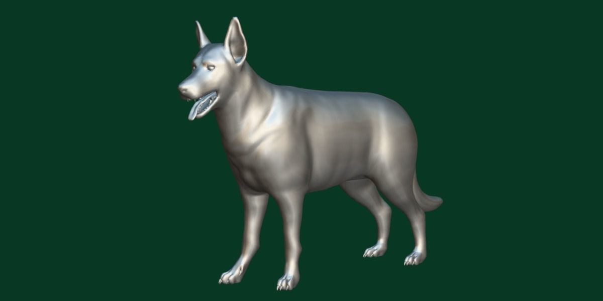 White Swiss Shepherd Dog Breed 3D model_17