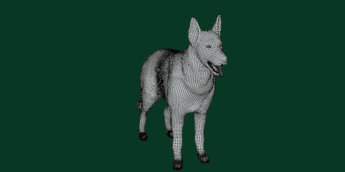 White Swiss Shepherd Dog Breed 3D model_3