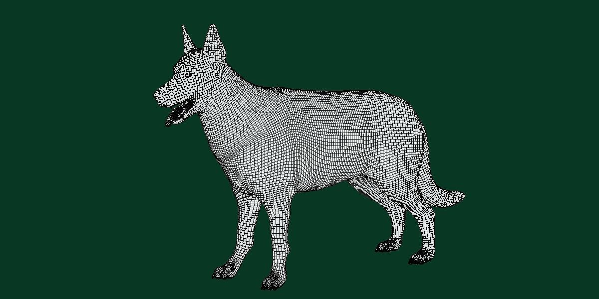 White Swiss Shepherd Dog Breed 3D model_4