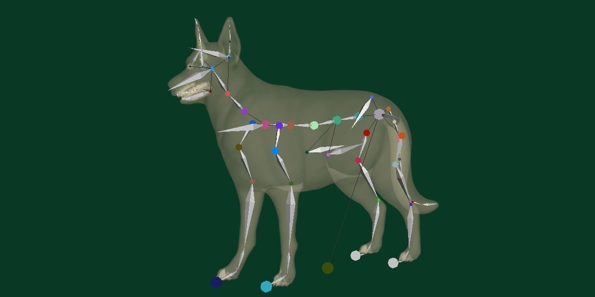 White Swiss Shepherd Dog Breed 3D model_11