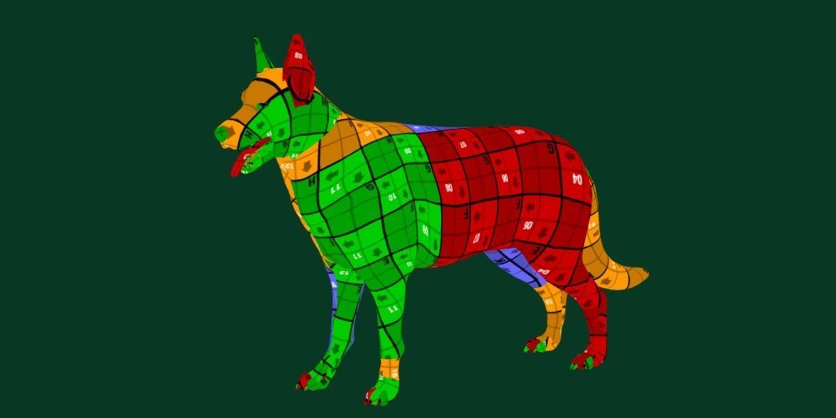 White Swiss Shepherd Dog Breed 3D model_6