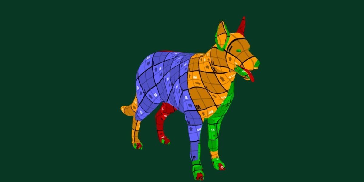 White Swiss Shepherd Dog Breed 3D model_7