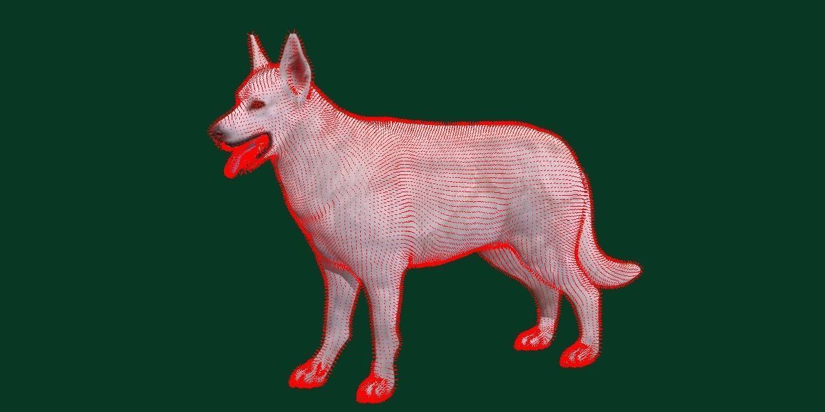 White Swiss Shepherd Dog Breed 3D model_5