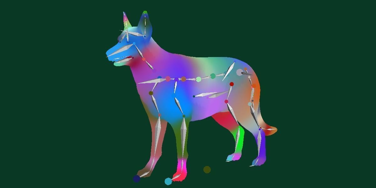 White Swiss Shepherd Dog Breed 3D model_12